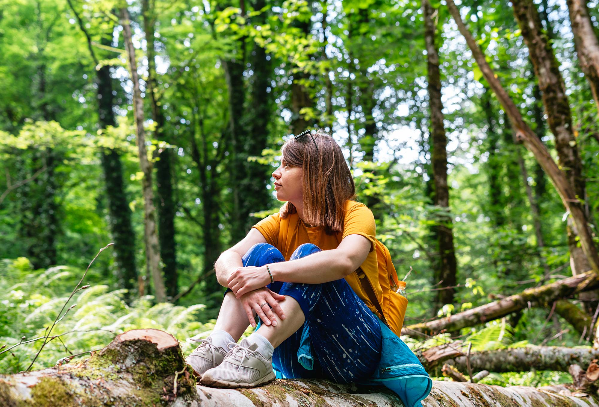 Trauma, the Body, and Somatic Healing